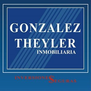Logo de Carlos González Theyler